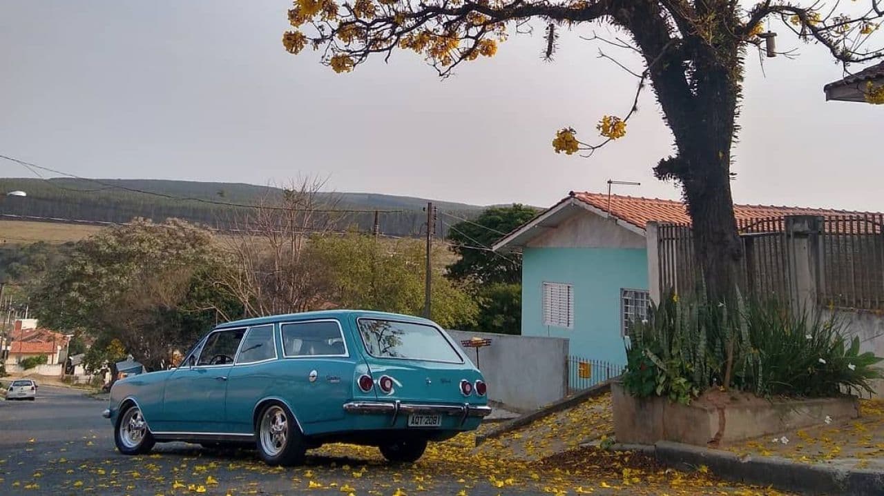 CHEVROLET CARAVAN 1975