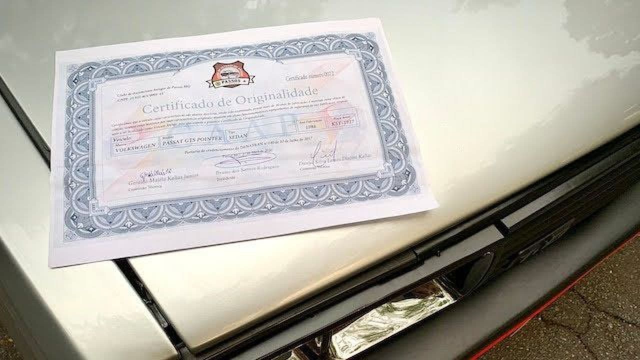 VOLKSWAGEN PASSAT GTS POINTER 1986